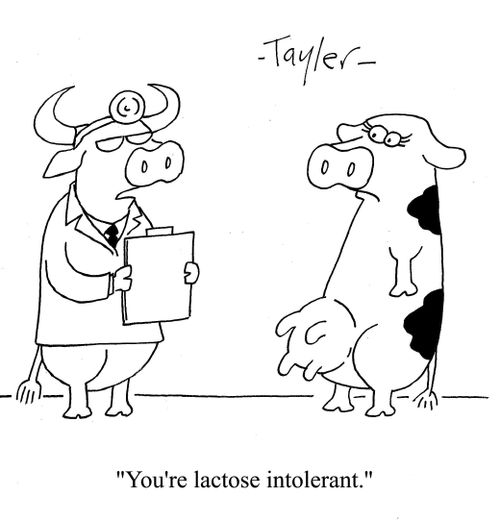 'You're lactose intolerant.'