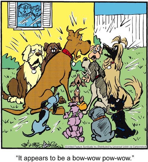 'It appears to be a bow-wow pow-wow.'