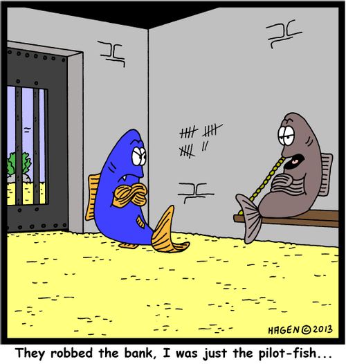 'They robbed the bank, I was just the pilot-fish...'