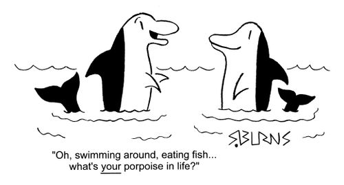 "Oh swimming around, eating fish.. what's your porpoise in life?"