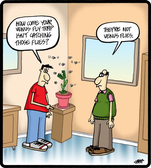 'How come your venus fly trap isn't catching those flies?'