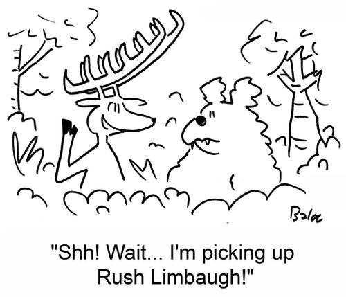 'Shh! Wait... I'm picking up Rush Limbaugh!'