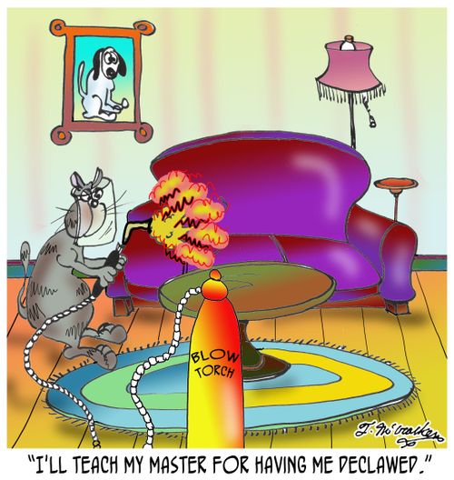 'I'll teach my master for having me declawed.'