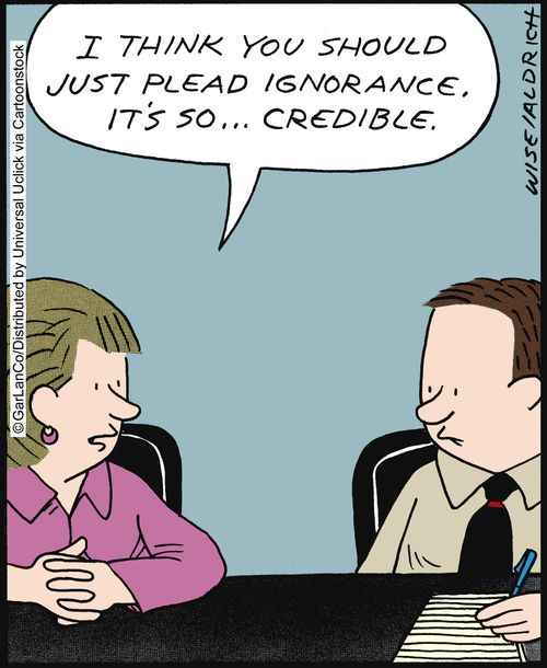 'I think you should just plead ignorance, it's so. . . credible.'