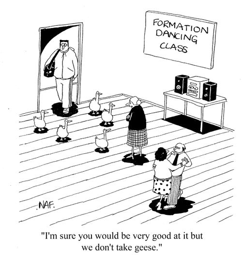 'I'm sure you would be very good at it but we don't take geese.'