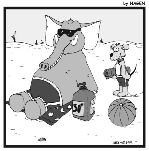 Elephant with a large tub of sunscreen.