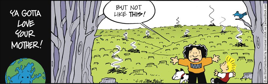 'But not like this!'