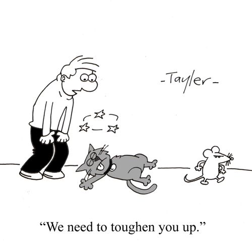 Cat knocked out by mouse - 'We need to toughen you up.'