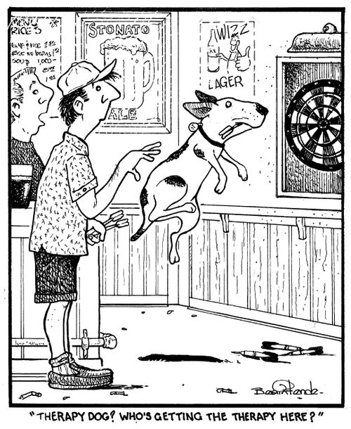 "Therapy dog? Who's getting the therapy here?"