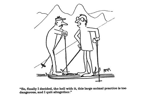 'So, finally I decided, the hell with it, large animal practice is too dangerous.'