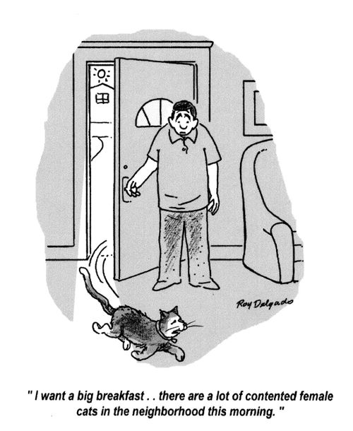 'I want a big breakfast.. there are a lot of contended female cats in the neighborhood this morning.'