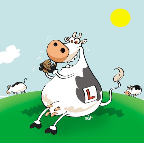 The Learner Cow.