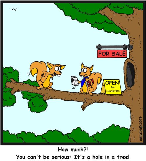 'How much?! You can't be serious: It's a hole in a tree!'