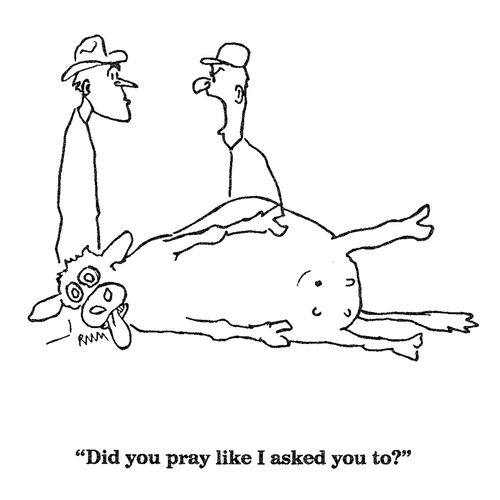 'Did you pray like I asked you to?'