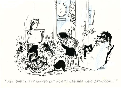 'Hey, Dad! Kitty worked out how to use her new cat-door!'