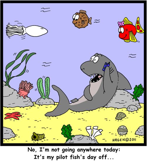 'No, I'm not going anywhere today: It's my pilot fish's day off...'