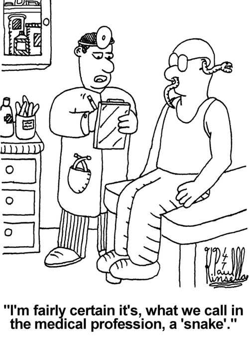 'I'm fairly certain it's, what we call in the medical profession, a 'snake'.'