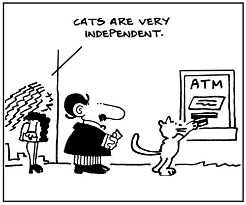 'Cats are very independent.'