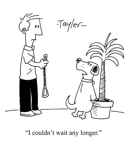 ''I couldn't wait any longer.''