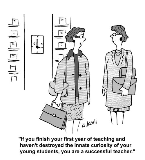'If you finish your first year of teaching and haven't destroyed the innate curiosity of your young students, you are a successful teacher.'