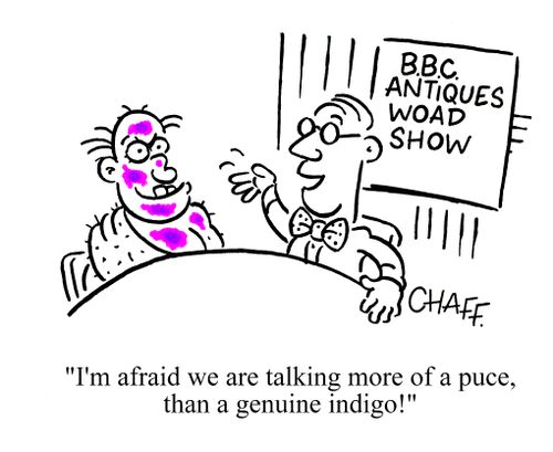 I'm afraid we are talking more of a puce, than a genuine indigo!'