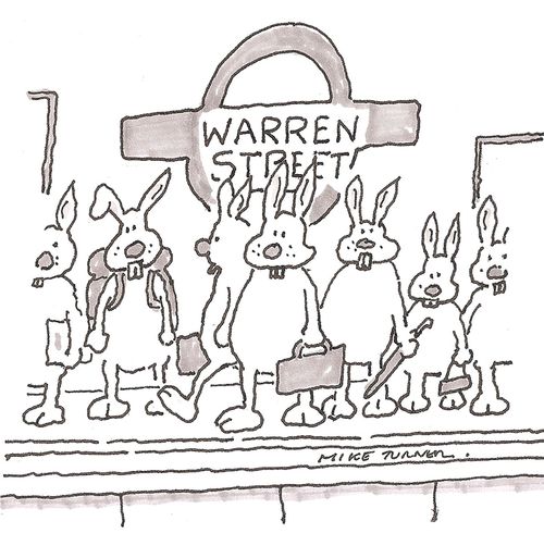 Rabbits on Tube