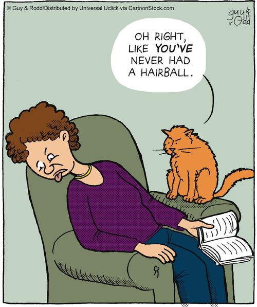 'Oh right, like you've never had a hairball.'