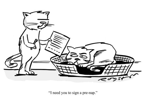 Cat to second cat: 'I need you to sign a pre-nap.'