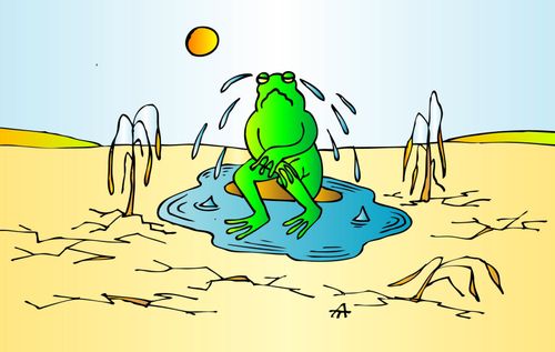 A frog makes his own pond from tears.