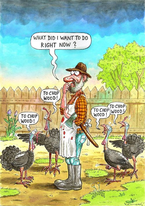 Thanksgiving: 'What did I want to do now?'