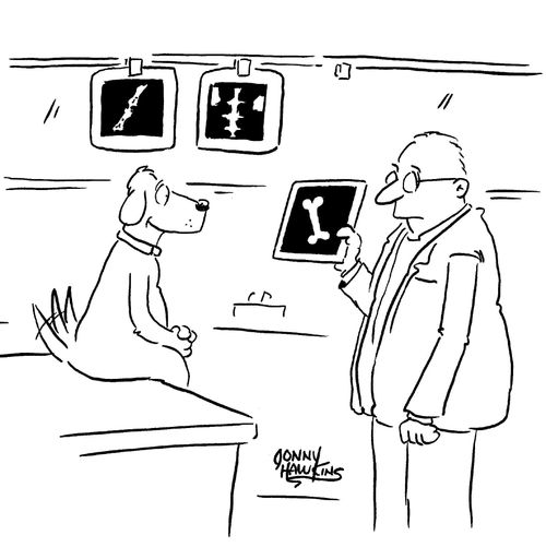 X-ray technician showing dog bone x-ray.
