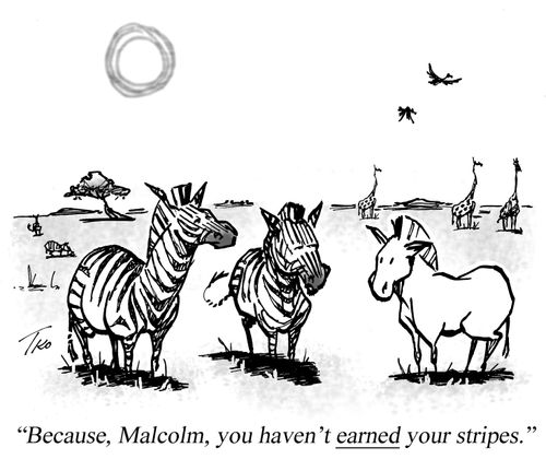 "Because, Malcolm, you haven't earned your stripes."