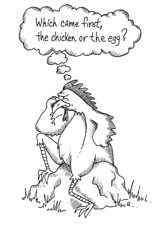 'Which came first, the chicken or the egg?'