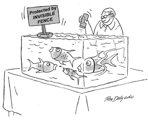 Protected by invisible fence.