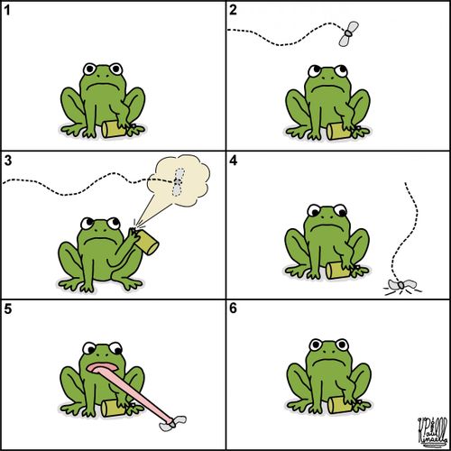 Frog killing a fly with bug spray.