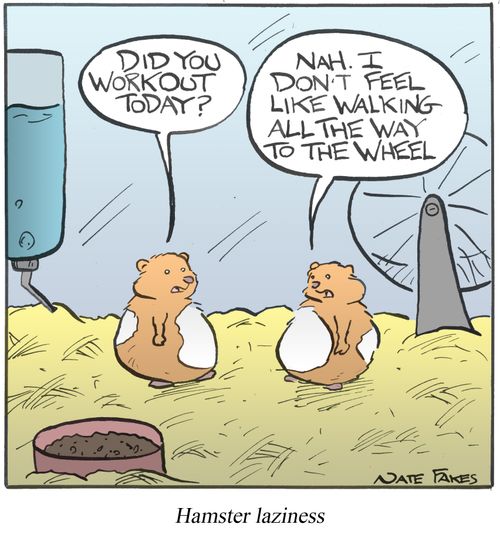 Hamster Laziness