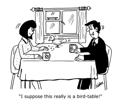 'I suppose this really is a bird-table!'
