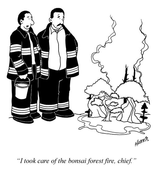 'I took care of the bonsai forest fire, chief.'