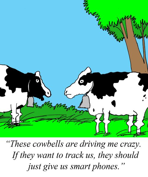 "These cowbells are driving me crazy. If they want to track us, they should just give us smart phones."