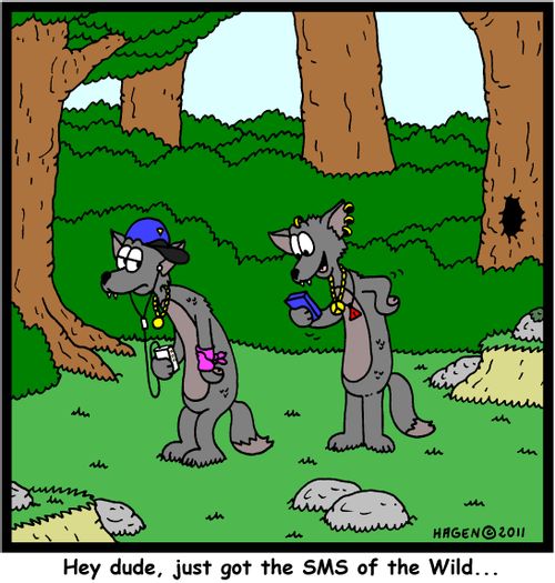 'Hey dude, just got the SMS of the Wild...'