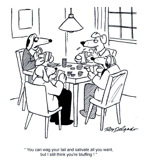 'You can wag your tail and salivate all you want but I still think you're bluffing.'