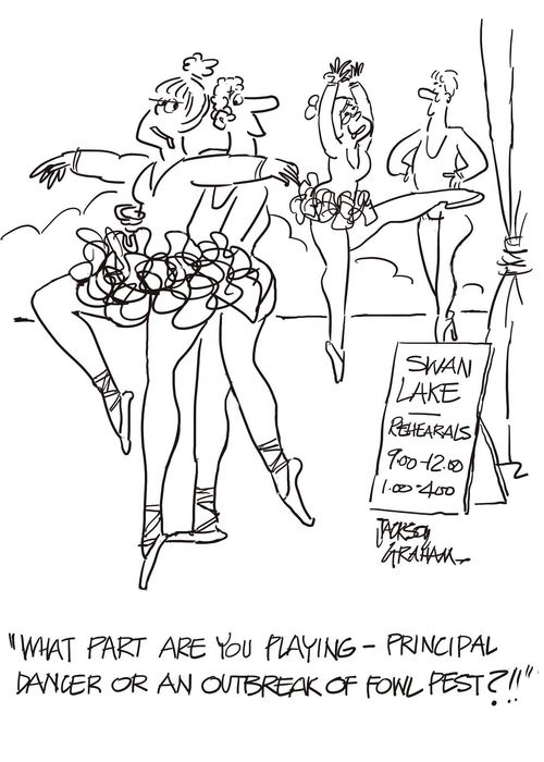"What part are you playing - principal dancer or an outbreak of fowl pest?"