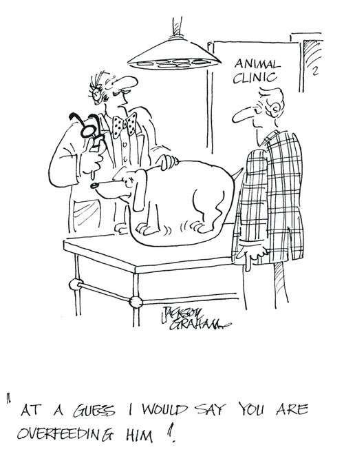 'At a guess I would say you are over feeding him.'