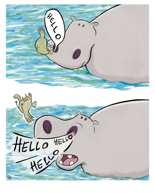 Echo in the hippo.