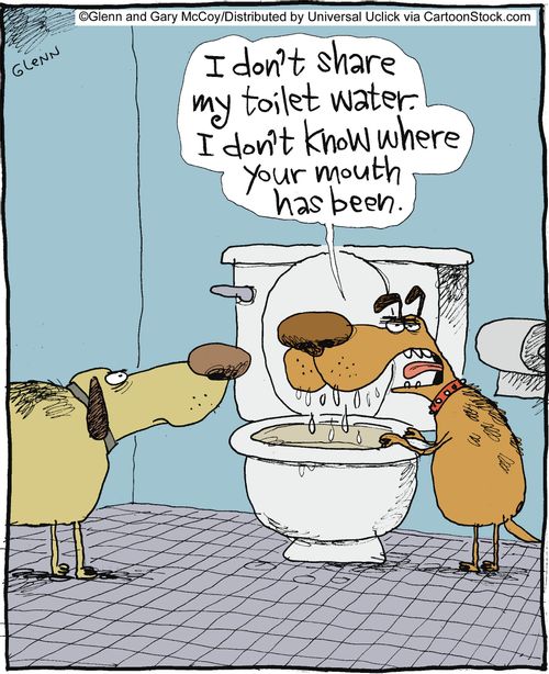 'I don't share my toilet water. I don't know where your mouth has been.'