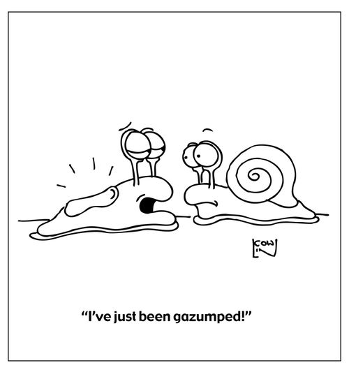 "I've just been gazumped!"