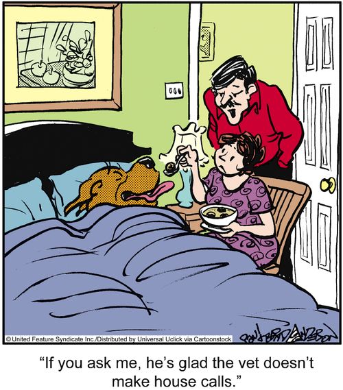 'If you ask me, he's glad the vet doesn't make house calls.'