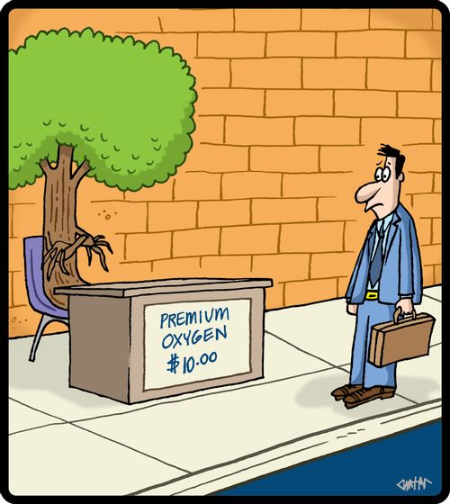 Tree selling premium oxygen.