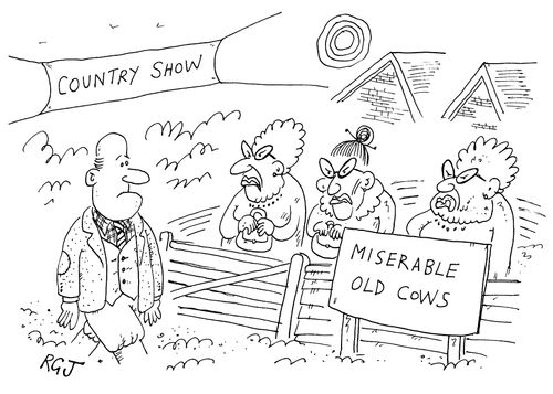 Miserable Old Cows