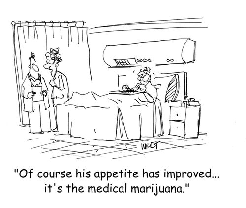 'Of course his appetite's improved...it's the medical marijuana.'